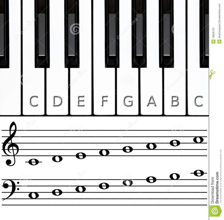 piano keyboard with musical notes and symbols on white background stock photo - image 459784