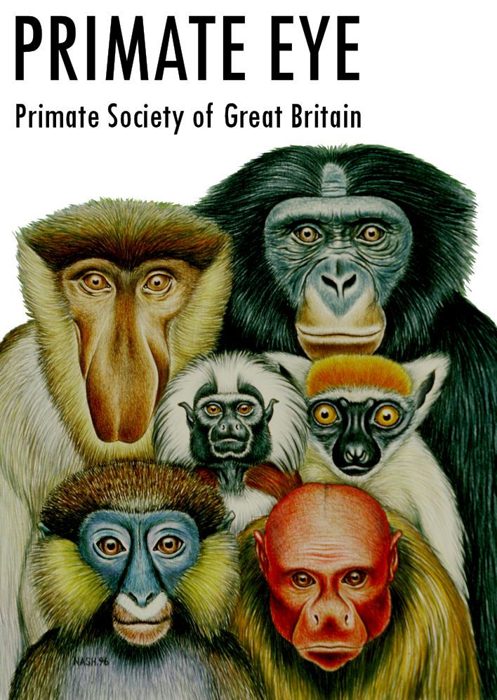 an image of primates with their faces painted on the front cover of a children's book