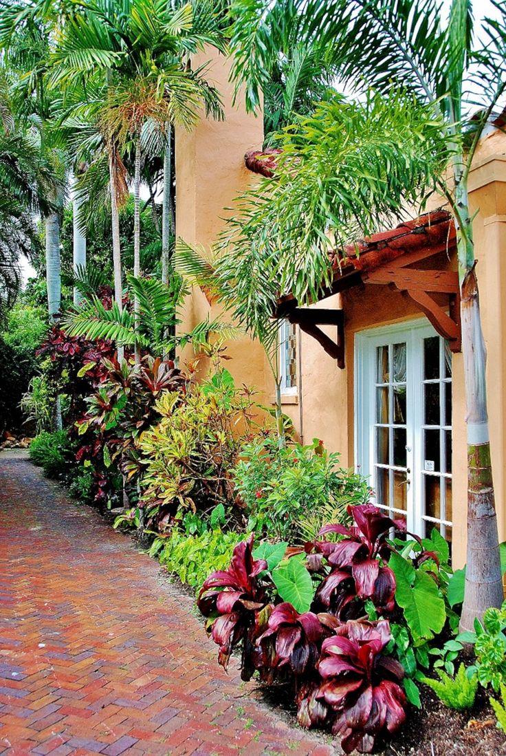 a house with lots of tropical plants growing on the side of it's wall