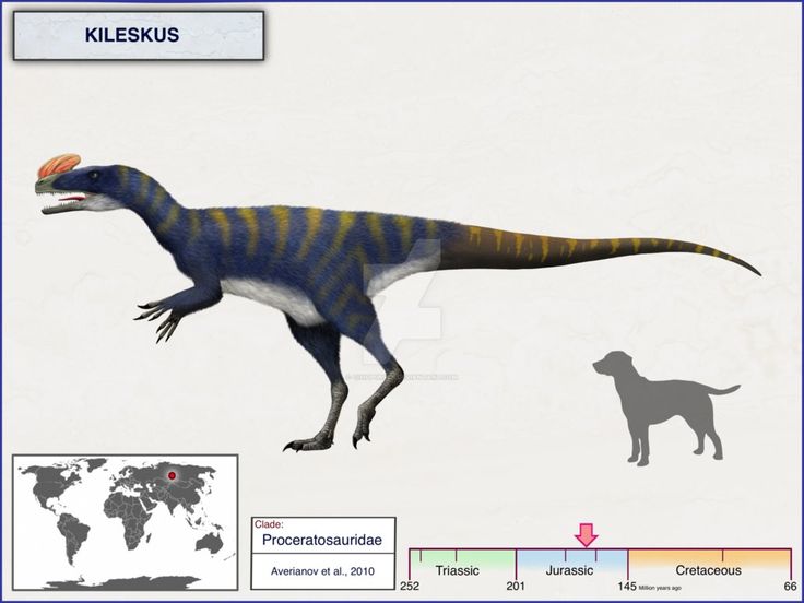 an image of a dinosaur and a dog in the same area with labels on it