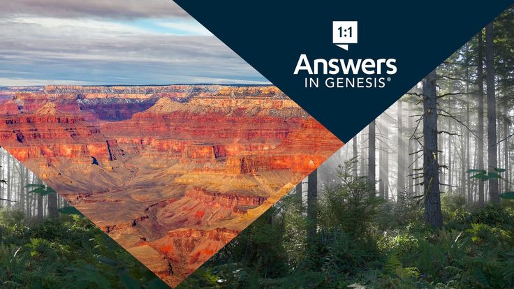 Answers in Genesis