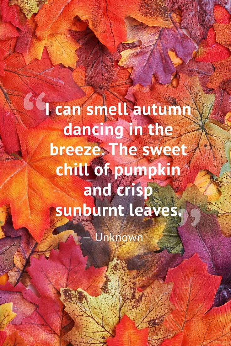 leaves are falling, autumn is calling unknown quote by unknown on the bottom right hand corner