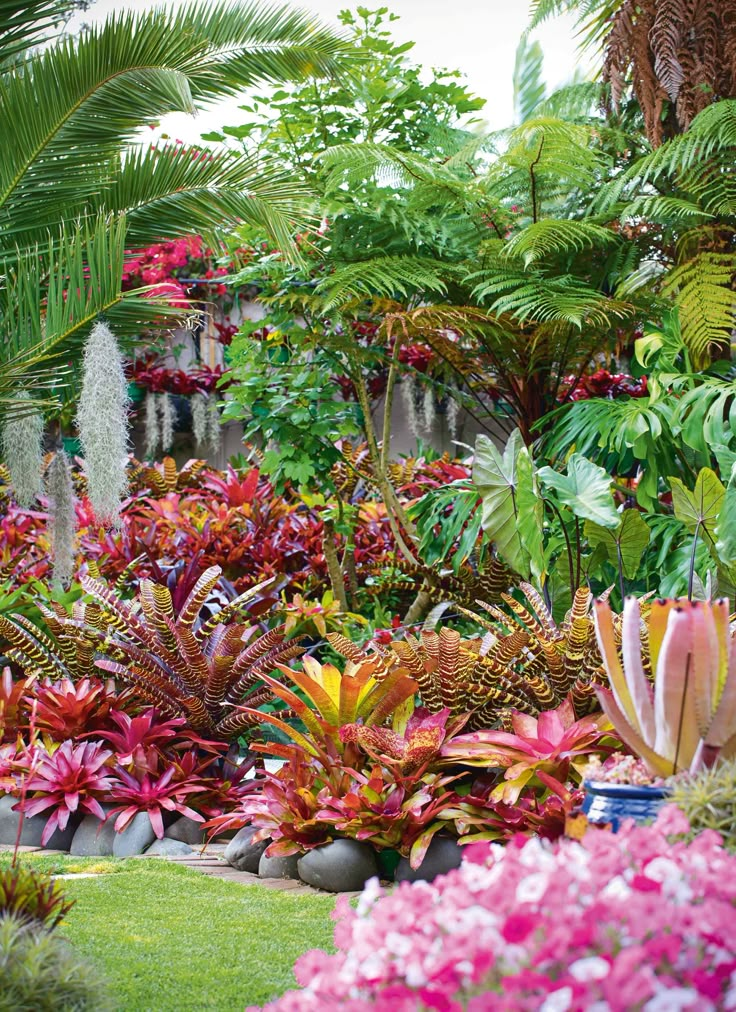 a garden filled with lots of different types of flowers