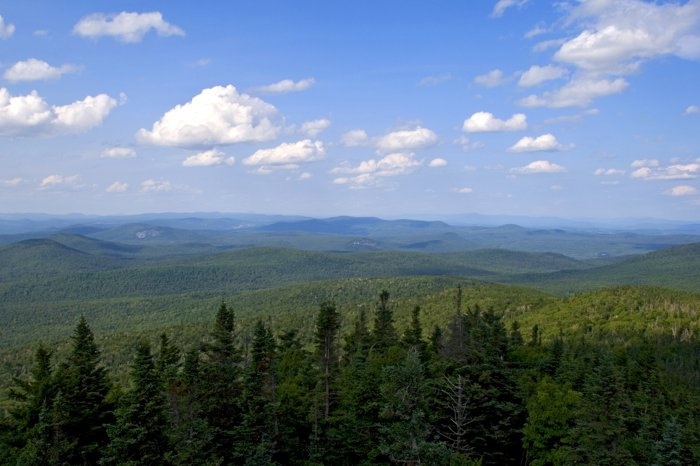 the mountains are covered in green trees and blue sky with fluffy white clouds above them