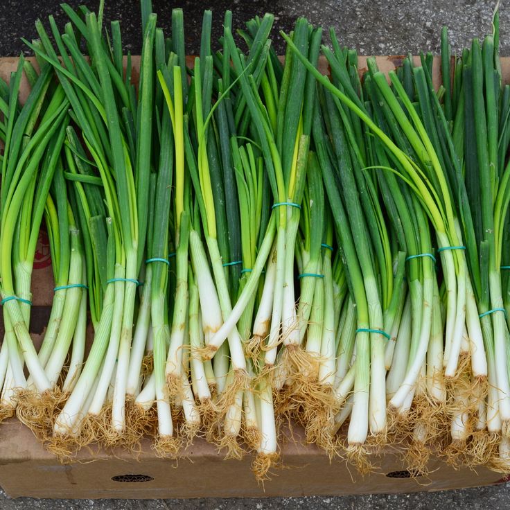 some green onions are sitting in a cardboard box on the ground and ready to be sold