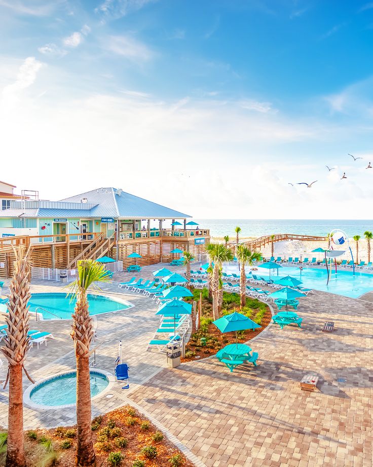 an outdoor swimming pool surrounded by palm trees