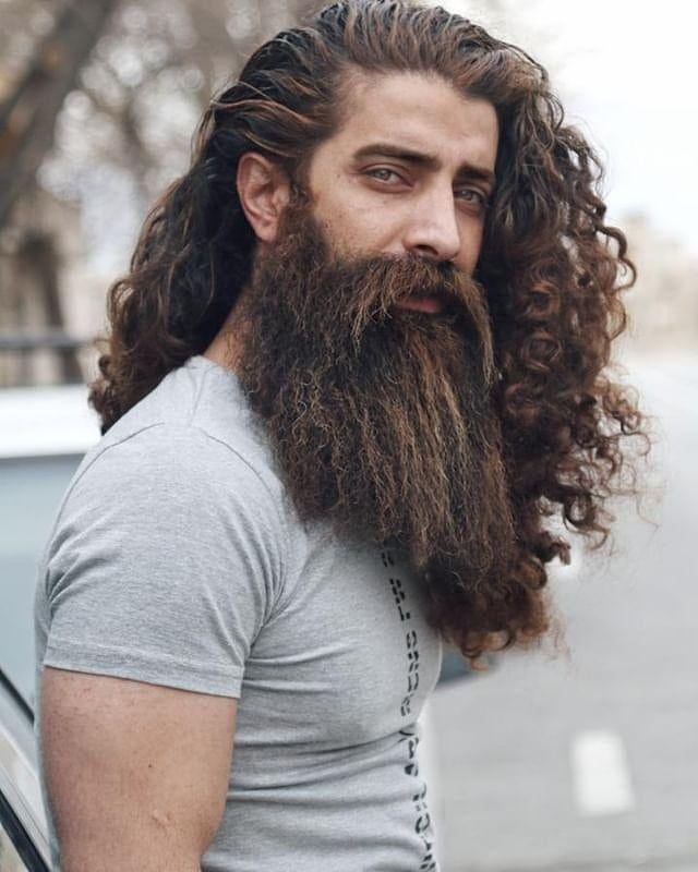 BEARD OF THE DA Long Beard Styles, Long Hair Beard, Beard Haircut, Long Beard, Best Beard Styles, Men's Long Hairstyles, Beard Hairstyle, Great Beards, Full Beard