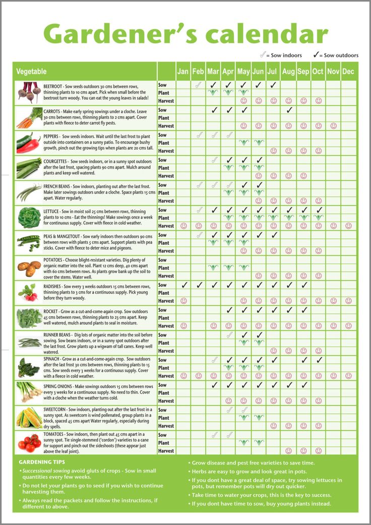 the garden's calendar is shown in green and white, with an image of various vegetables