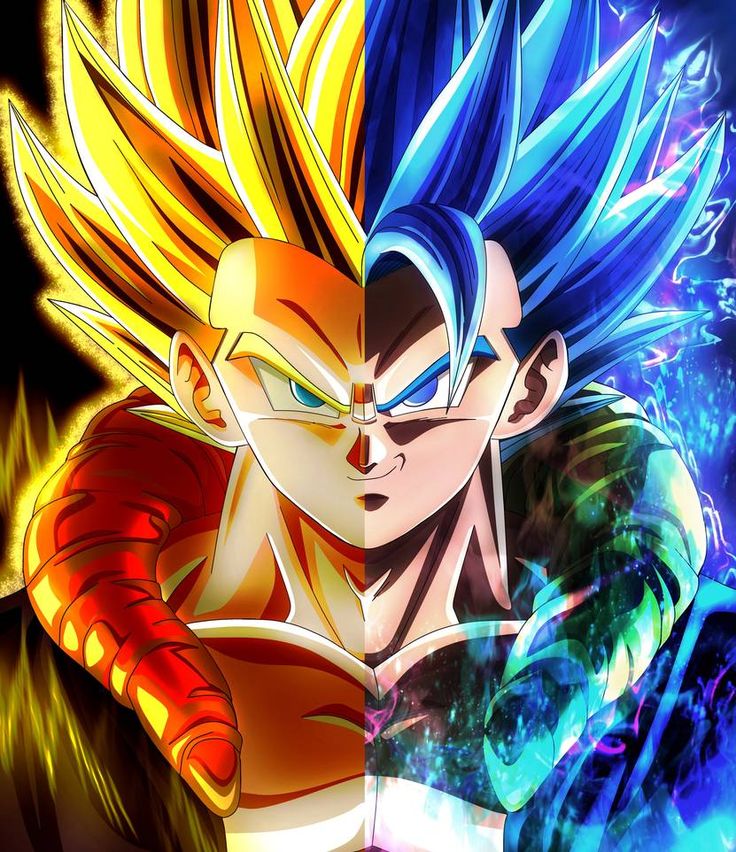 the two characters in dragon ball are facing each other