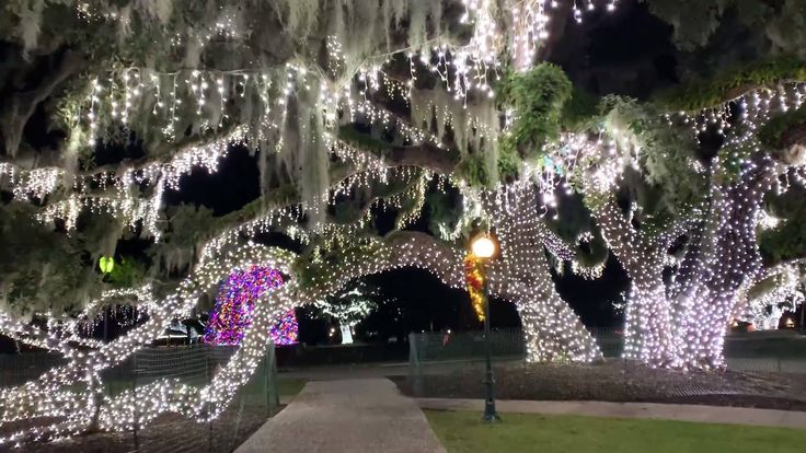 the trees are decorated with lights and garlands