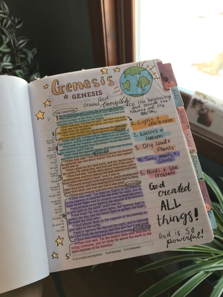 an open book with writing on it next to a potted plant