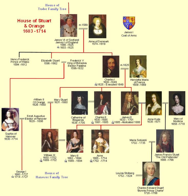 a family tree is shown with pictures of people in the middle and bottom, including two women