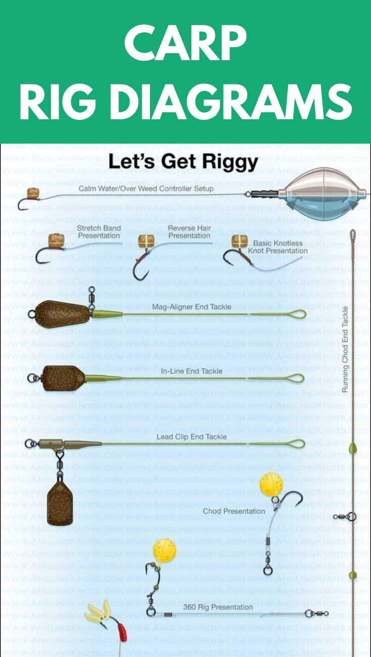 the diagram shows how different types of fishing rods are used to catch and release fish