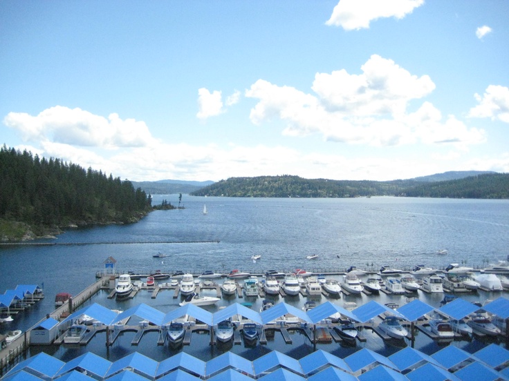 there are many boats that are docked in the water near each other and some trees