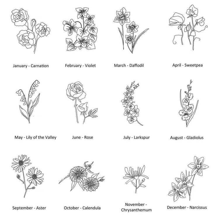 an image of flowers that are in the zodiac sign