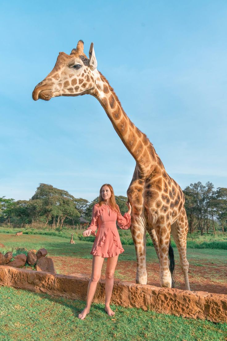 a woman standing next to a giraffe on top of a lush green field