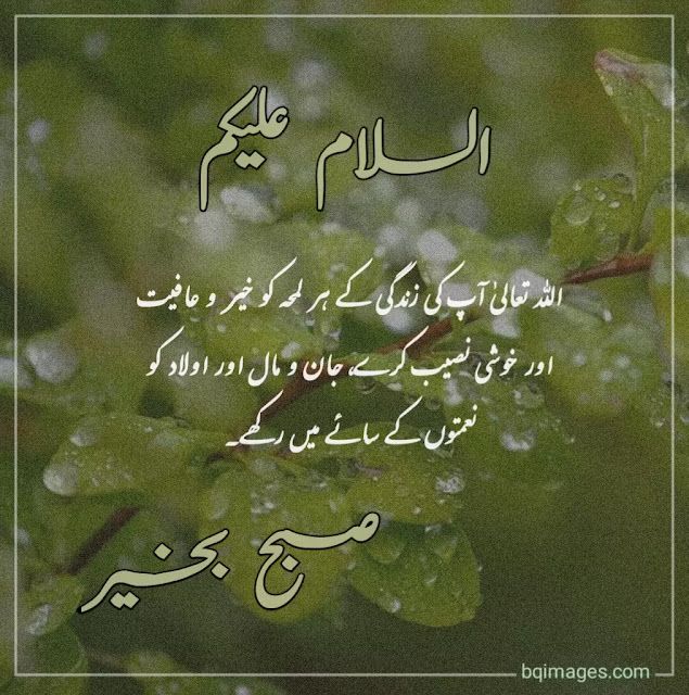 an arabic quote on green leaves with water droplets in the background and words written in english