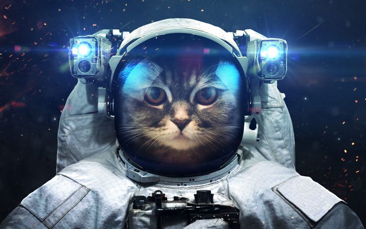 a cat in an astronaut's space suit holding up his hand to the camera