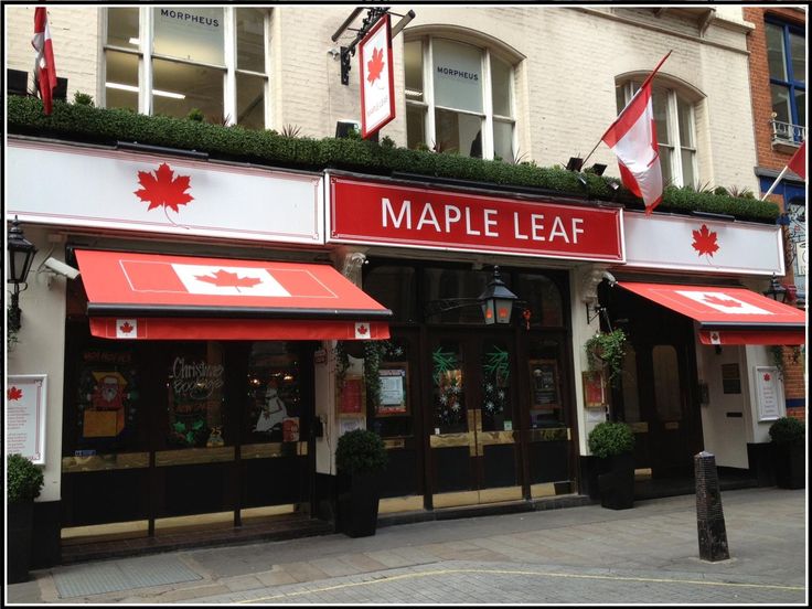 the maple leaf restaurant in toronto is closed for business