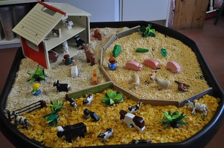 a black tray filled with lots of food and toys