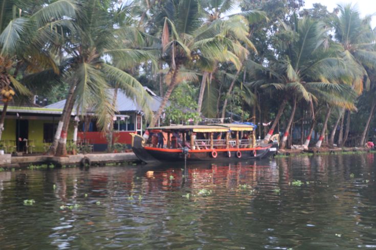 there is a boat that is going down the river with palm trees in the background