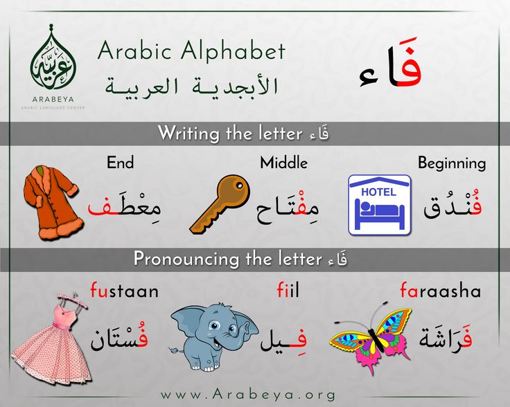 arabic alphabets with pictures of different types of letters and numbers, including the letter e