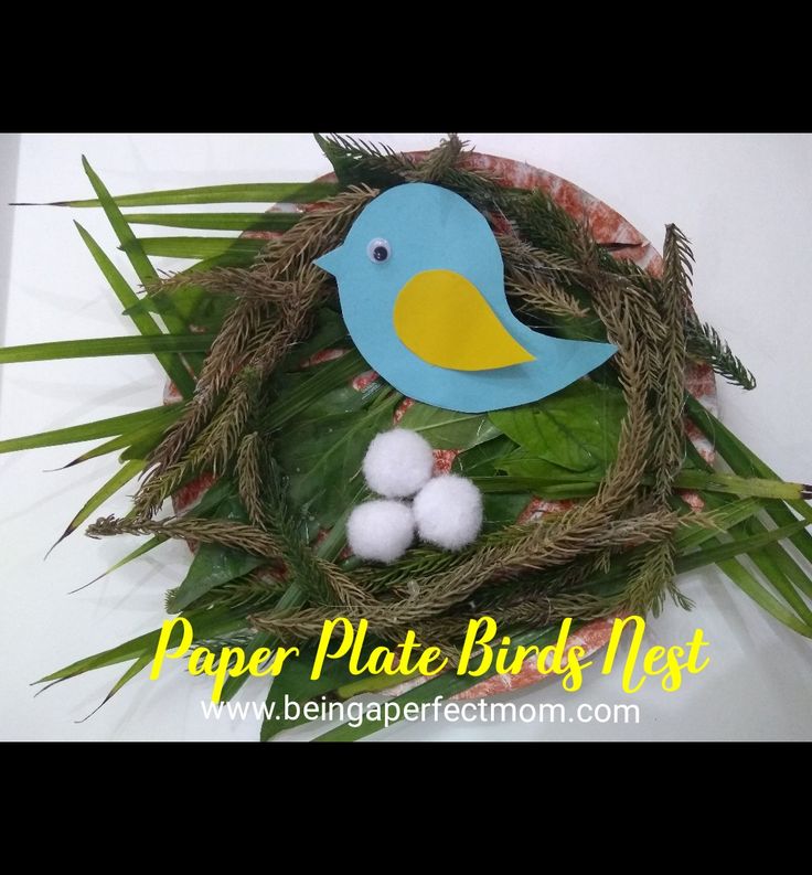 a paper plate bird nest with cotton balls in the center and palm leaves around it