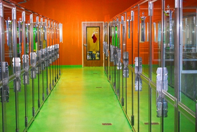 an empty room with many glass cases on the walls and green carpeted flooring