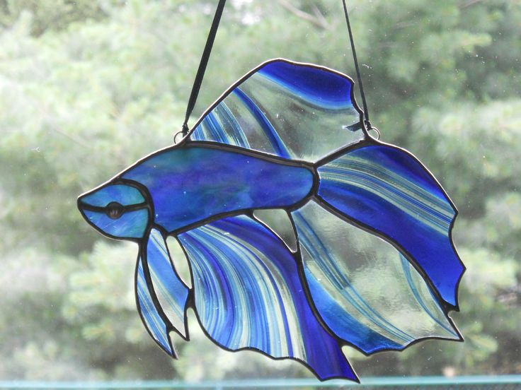 a stained glass fish hanging from a window