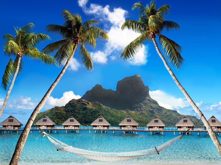 an image of a beach with palm trees and hammock in the foreground that says, are you where you want to be? do you have a plan?