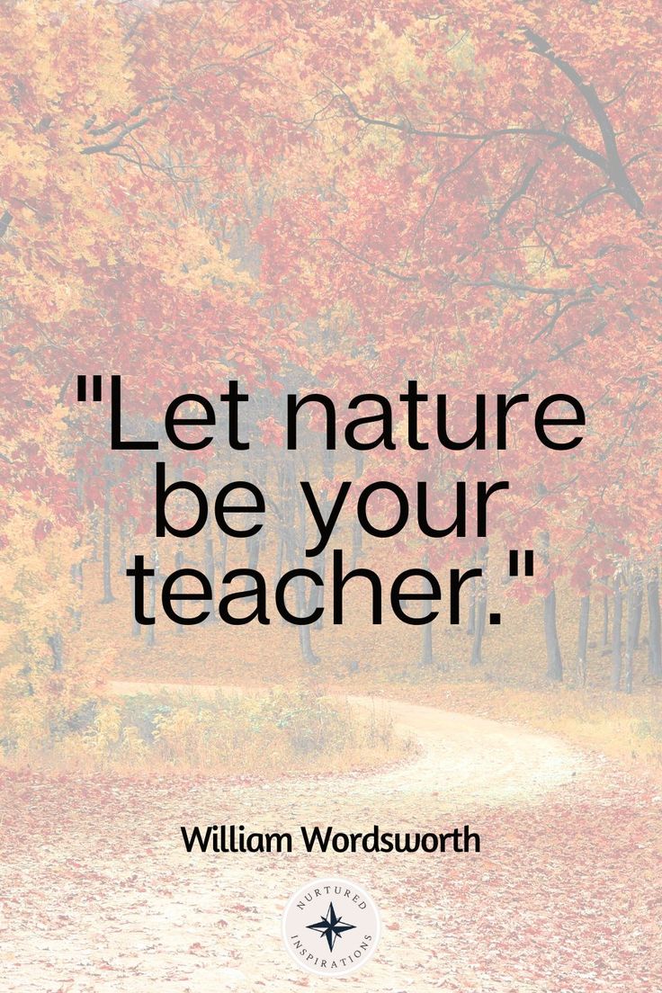 a quote from william wordsworth on autumn leaves and the phrase let nature be your teacher