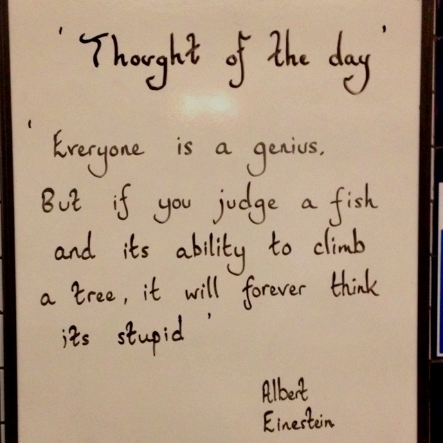 a white board with writing on it in front of a wall that says thought of the day everyone is a genius but if you judge a fish and its ability to climb a tree, it will