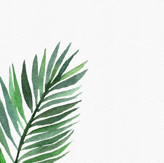 Tropical leaf print, Tropical leaves print, Tropical leaf wall art ...