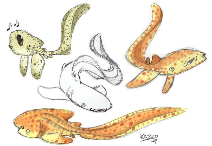 four different types of fish are shown in this drawing technique, including an orange and white one