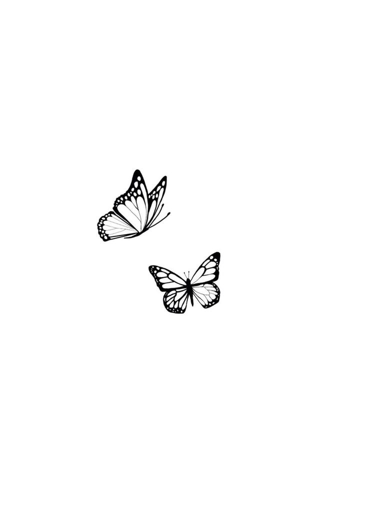 two butterflies flying side by side in the sky