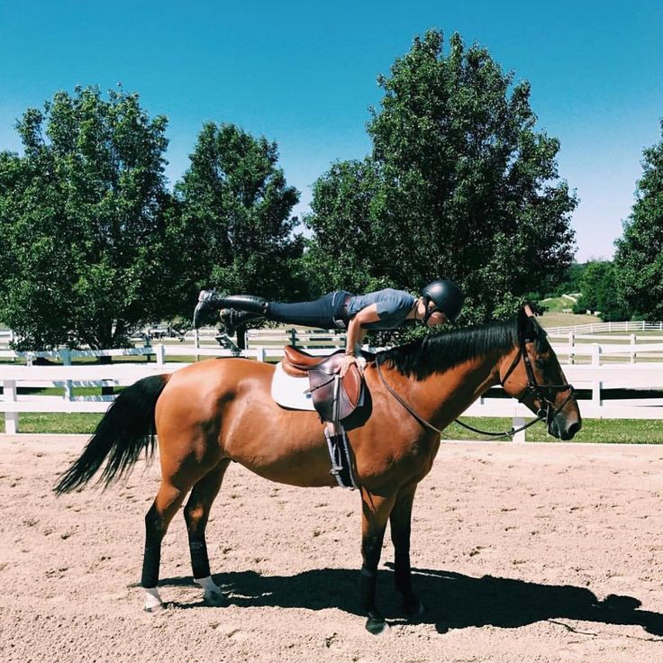 a person riding on the back of a brown horse