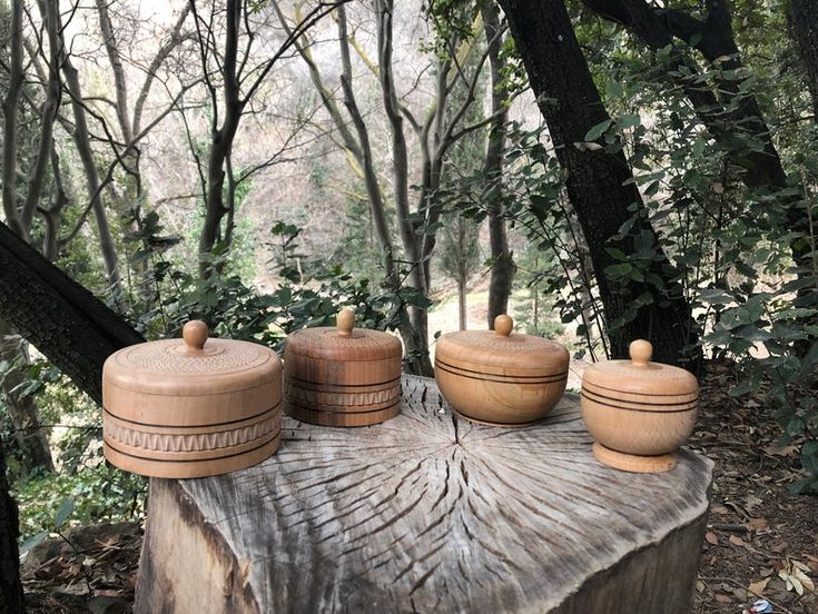 three wooden containers sitting on top of a tree stump in the middle of a forest