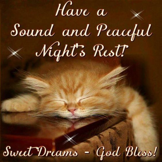 an orange cat sleeping on top of a wooden chair with the caption have a sound and peaceful night's rest