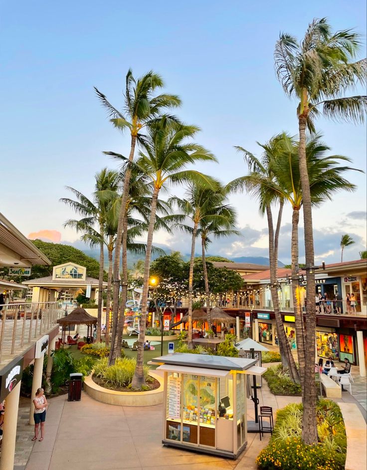 palm trees line the walkway to an outdoor shopping area with shops and restaurants in the background