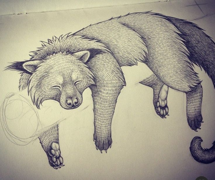 a pencil drawing of a furry animal with long legs and claws on it's back