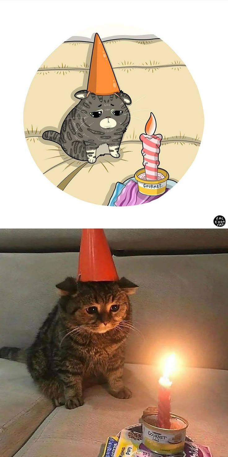 a cat wearing a party hat sitting next to a birthday cake with a lit candle