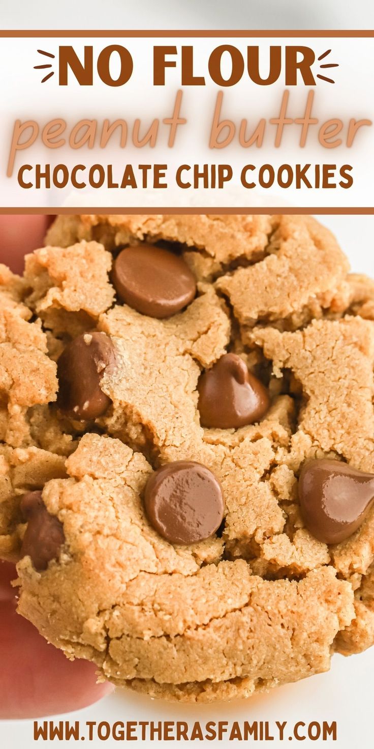 no flour peanut butter chocolate chip cookies on a white plate with text overlay that reads, no flour peanut butter chocolate chip cookies