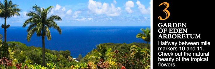 an advertisement for the garden of eden in hawaii with palm trees and blue water behind it