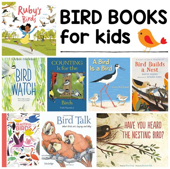 several children's books about birds with text overlay that reads bird books for kids