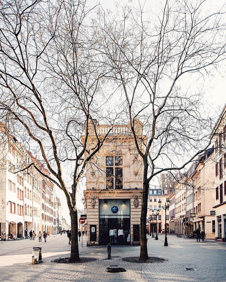 an empty street with several trees and buildings in the back ground, one tree has no leaves on it