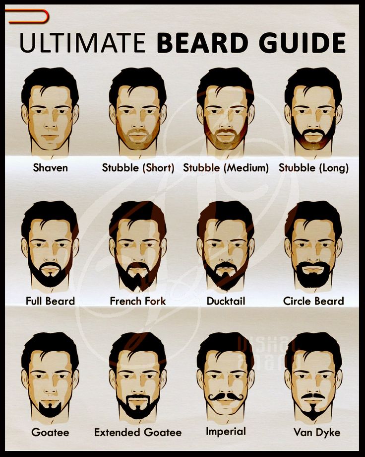 A MAN'S GUIDE TO BEARD - INFOGRAPHICS | Beard guide, Grow beard ...