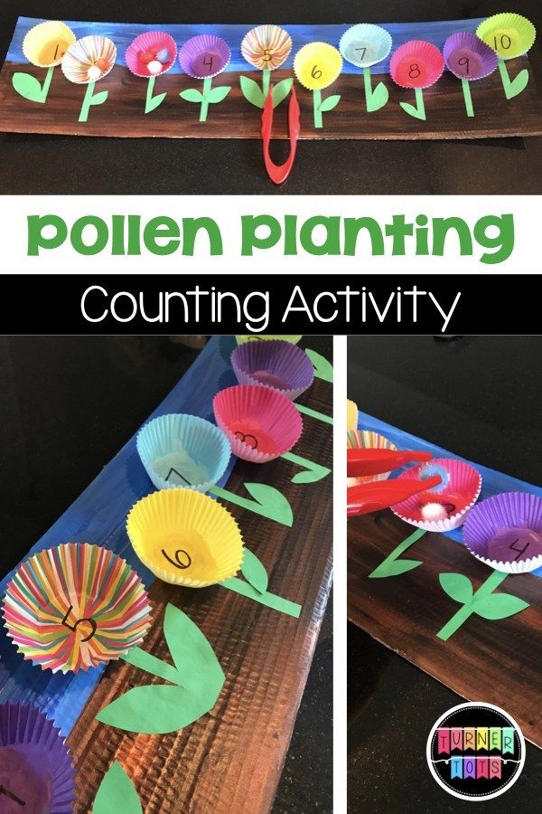 an activity for children to do with paper cups and flowers on the table is called pollen planting