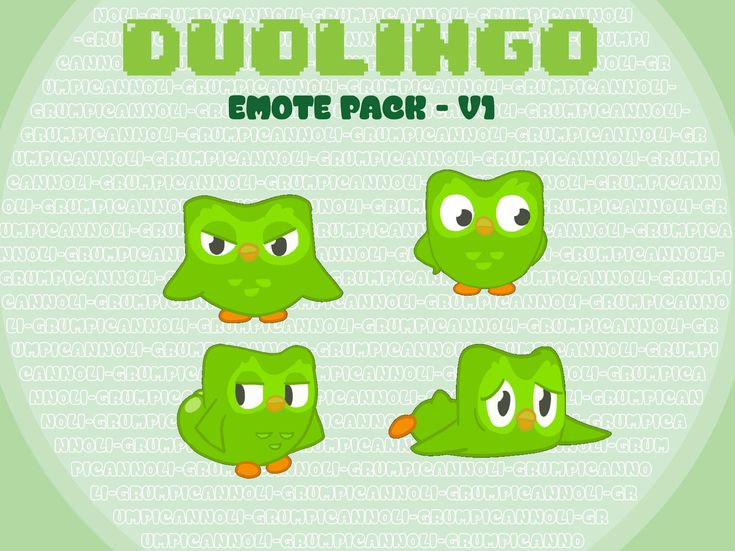 DUOLINGO EMOTE PACK V1 - Etsy Canada | Owl gifs, Duolingo, Gif