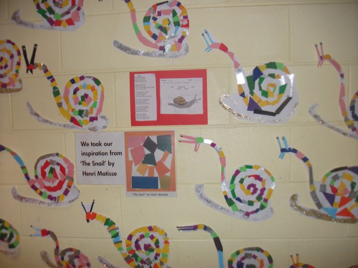 a bulletin board with many different types of snails on it