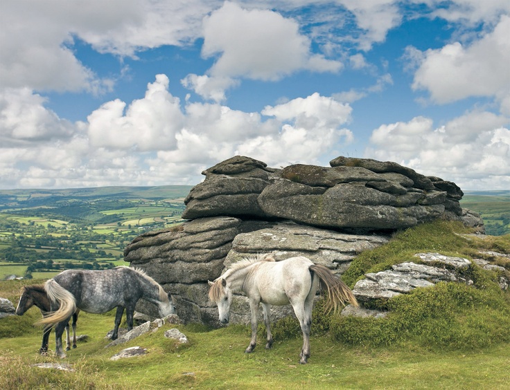 two horses are grazing on the side of a hill with large rocks in the background